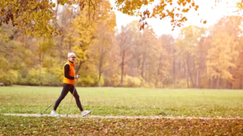 TrailBuddy Trekking Poles: Affordable Walking Aid for Better Health