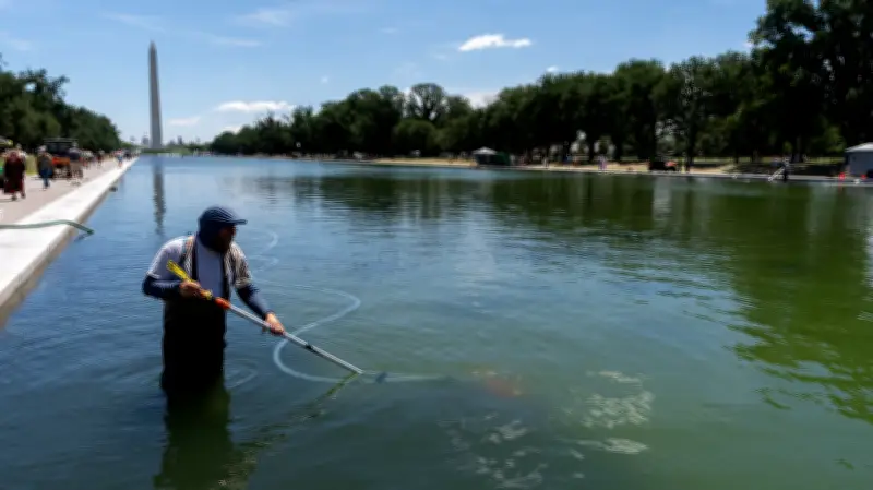 Trump Claims Multiple Arrests for Vandalism at Reflecting Pool Amid Algae Crisis