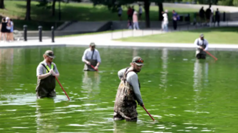 Trump's $14M 'American Flag Blue' Reflecting Pool Turns Algae Green