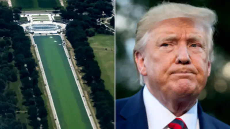 Trump's Box Cutter Claim on Reflecting Pool Contradicts His Own Video