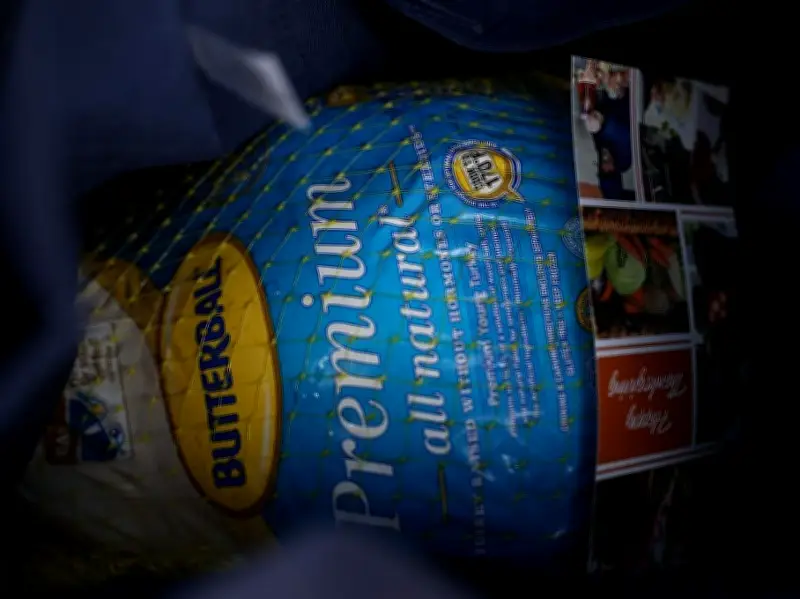 Turkeys and Turtle Shells Among Strangest Items Left in Toronto Ubers