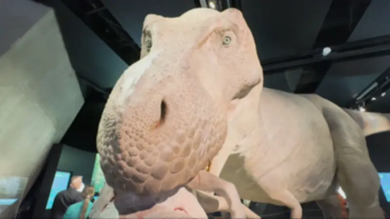Tyrannosaurus Rex Exhibition Opens at Telus Spark Science Centre for Dino Summer