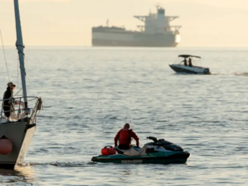 Vancouver Park Board to Explore Restricting Personal Watercraft After Whale Strike