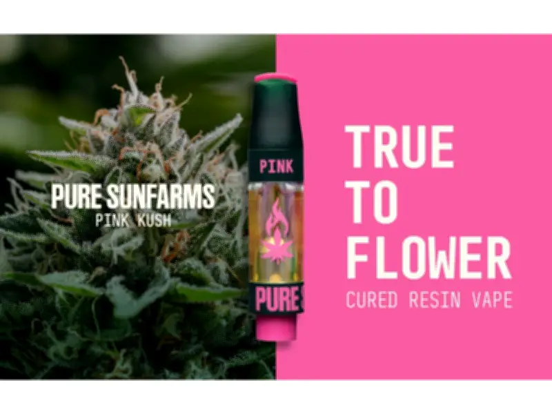 Village Farms Launches Pure Sunfarms Pink Kush Cured Resin Vape in Canada