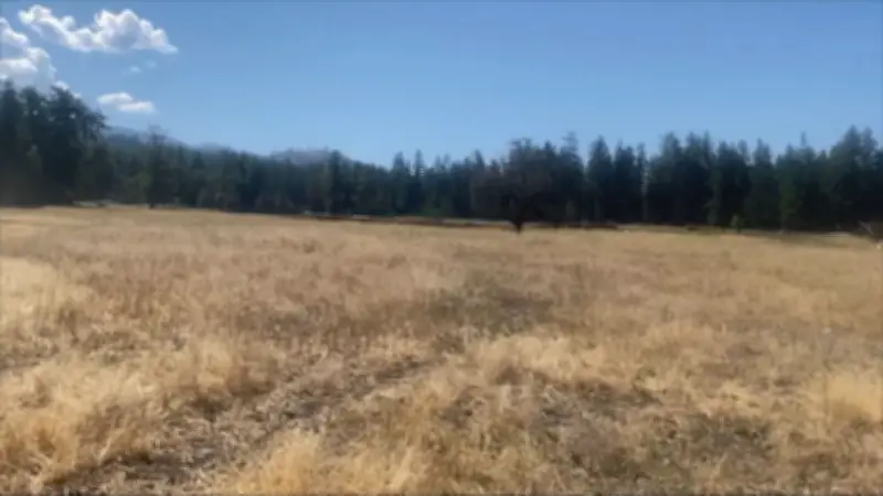 Water Shortage Threatens Vernon, B.C. Farmers' Crops This Summer