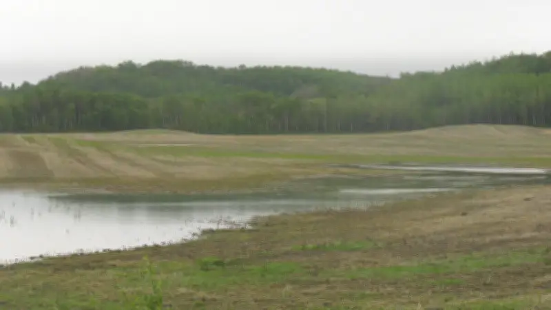 Wet Weather Delays Seeding in Northern Alberta, Farmers Concerned