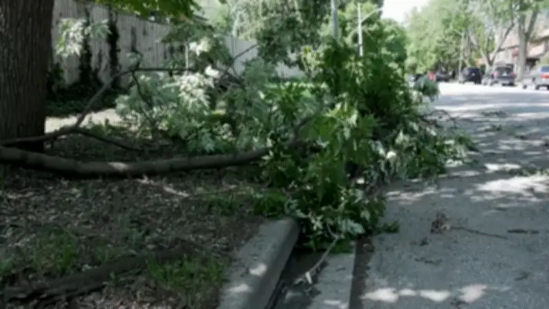 When to Call 911 After a Storm: Expert Guidelines for Safety