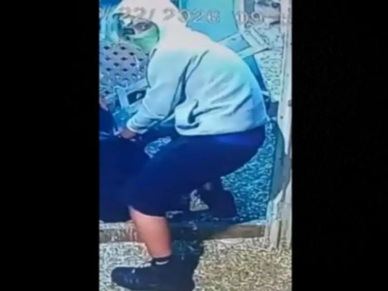 Windsor Police Arrest One Suspect in $30K Exotic Bird Theft