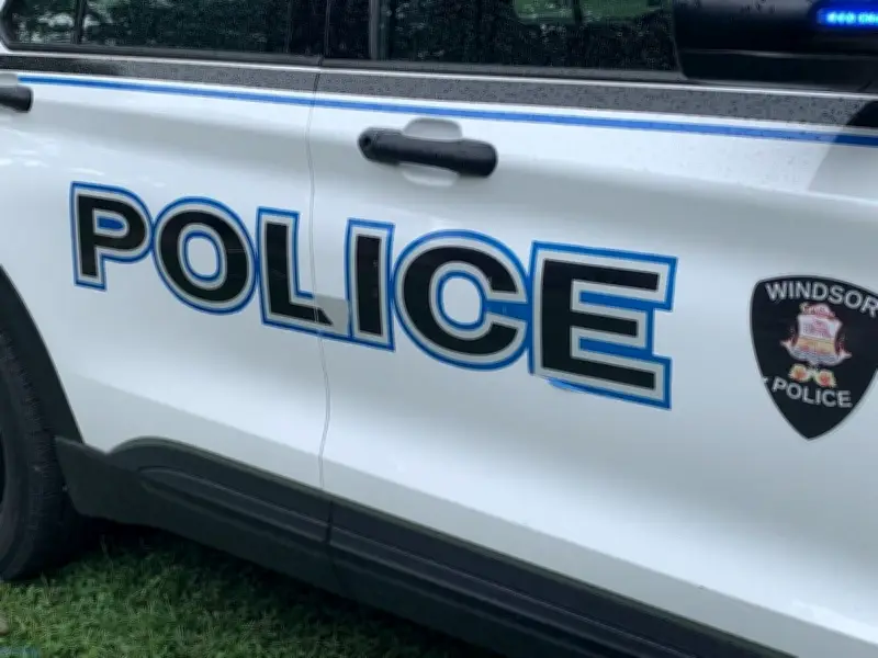 Windsor police dog Timber tracks break-in suspect in construction site