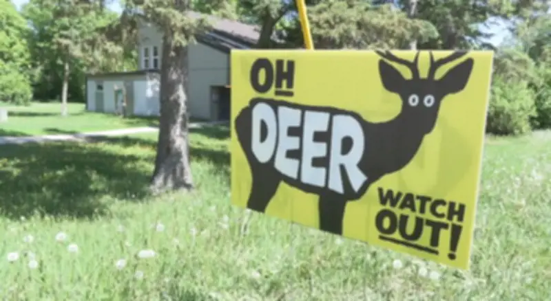 Winnipeg Students' 'Oh Deer' Sign Project Becomes City Signage