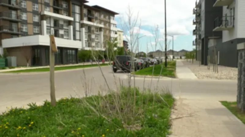 Winnipegger Declares Boulevard a 'Botanical Garden' in Grass Mowing Protest