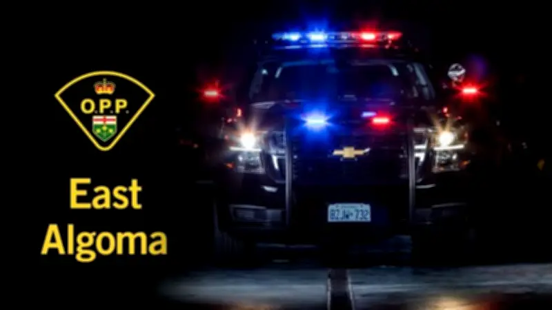 Woman Accused of Punching Person Who Asked Her to Leave in Northern Ontario