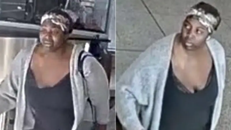 Woman Surrenders in TTC Subway Station Elevator Assault Case