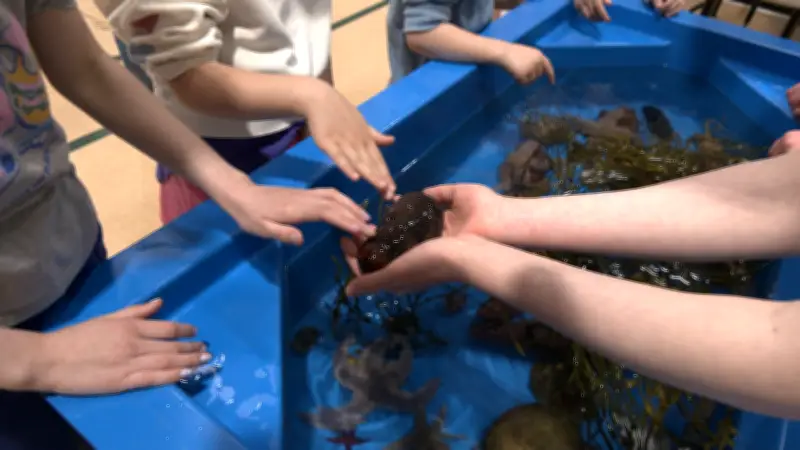 World Oceans Day Celebrates Marine Wonders in St. John's Event
