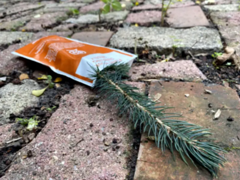 Yorkton Offers Free Tree Seedlings for 20th Year of Program