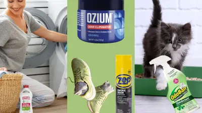 15 Best Odor Eliminators for a Fresh Home
