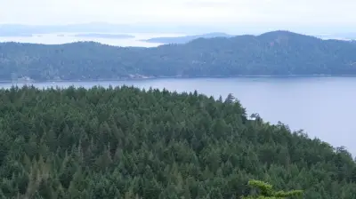 5 rescued after another boat sinks in British Columbia waters