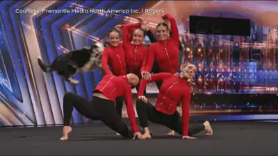 Acrodogs from Edmonton Wow 'America's Got Talent' Judges with Alberta Twist