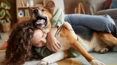 Amazon Prime Day 2024: Best Pet Deals on Cat Litter, Dog Beds, and More