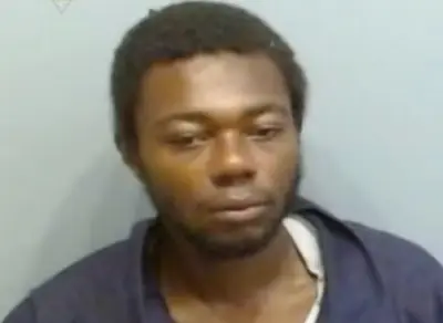 Atlanta woman stabbed up to 20 times on MARTA train in random attack