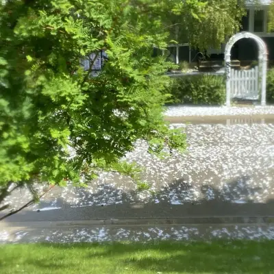 Calgary to Enjoy Three Days of Sunshine Before Weekend Rain
