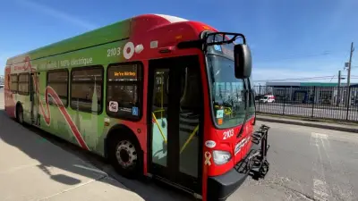 Charging issue sidelines some electric buses from Saturday morning service, OC Transpo says