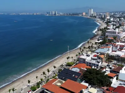 Crocodile Kills Man at Mexican Resort Despite Rescue Attempt by Couple