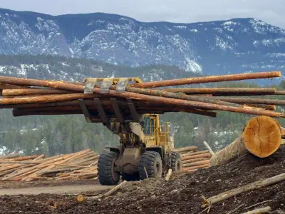 CUSMA Review: B.C.'s Best Chance to Resolve Softwood Lumber Dispute