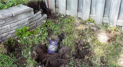 Defence Argues Cocaine Found in Backyard Could Belong to Anyone, Seeks Acquittal for LaSalle Man