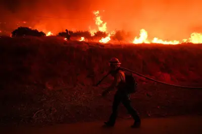 El Nino Is Here: Scientists Warn of Big, Bad, Costly Extreme Weather