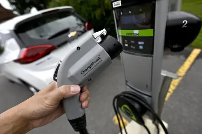 EV Rentals Scarce as Travelers Seek Fuel Savings