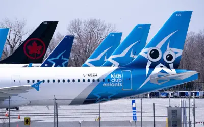 High fuel costs to trigger airline failures and consolidation, industry chief says