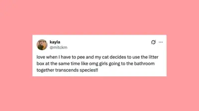 Hilarious Pet Posts That Will Make You Howl with Laughter