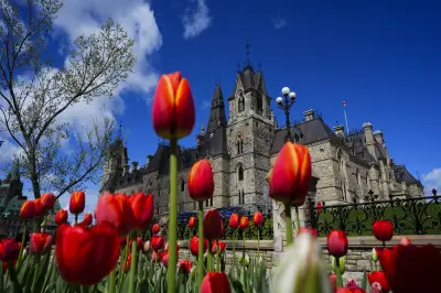 House of Commons Passes Bill Criminalizing Forced Sterilization