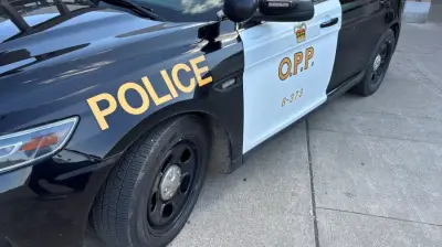 Human Remains Discovered in Thornton, Ontario: OPP Investigates