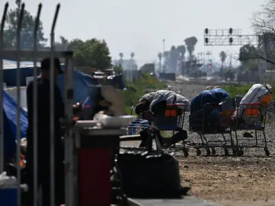Is California Reaching Critical Mass? A Look at the State's Decline