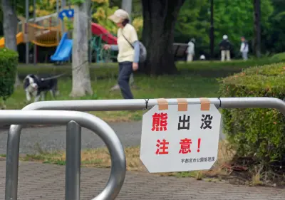 Japan Closes Nearly 100 Schools After Bear Sightings as Attacks Rise