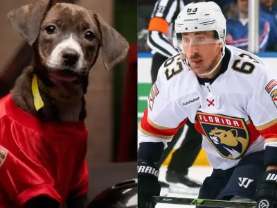 Last Dog Remaining in Stanley Pup Adoption Drive Named After Brad Marchand
