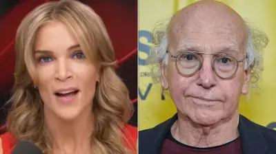 Megyn Kelly Slams Larry David for Trump UFC Comments