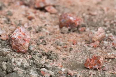 N.B. Potash Project Completes Impact Report, Prepares for Summer Drilling