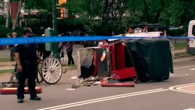 NYC Horse Carriage Rides Suspended After Teen Tourist's Death