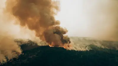 Open Fires Now Banned in 7 Parts of Quebec Due to Wildfire Risk