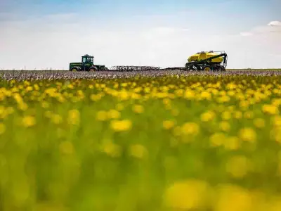 Opinion: Saskatchewan Needs More Food Security Investment Focus