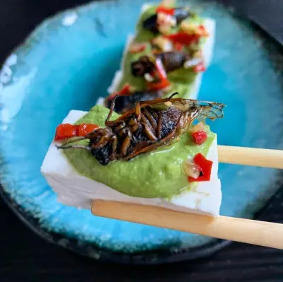 Over 40% of Quebec Study Participants Open to Eating Insects