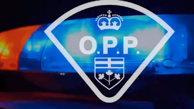Person in Hospital with Critical Injuries After Norfolk County Collision