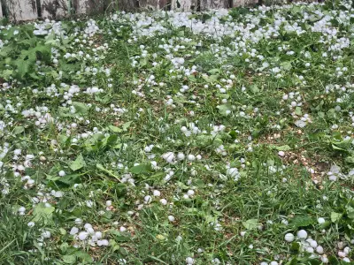 Regina Hit by Hailstones Ranging from Toonie to Golf Ball Size