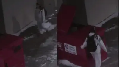 Regina Police Seek Arson Suspect in Garbage Bin Fire: Crime Stoppers
