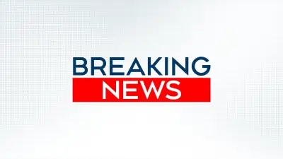 Skydiving Plane Crash Kills 11 in France: Local Authorities