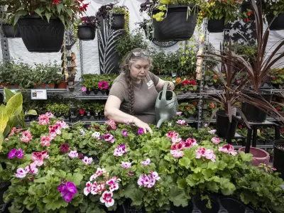 Stage 3 Water Restrictions Begin June 8: No Pools, No Lawn Watering