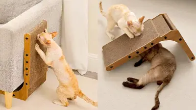 This Versatile Cat Scratcher Is Saving Furniture and Earning Rave Reviews